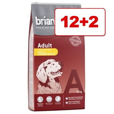 Briantos koiranruoka 14 kg: 12 + 2 kg kaupan päälle! - Adult Lamb & Rice