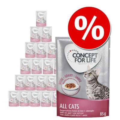 Concept for Life -säästöpakkaus 24 x 85 g - Kitten in Gravy