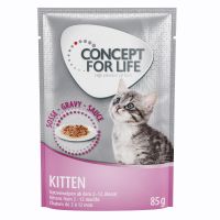 Concept for Life Kitten - in Gravy - 24 x 85 g