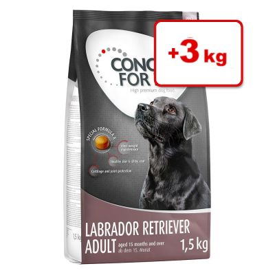 3 + 3 kg kaupan päälle! 6 kg Concept for Life -koiranruokaa - X-Large Junior