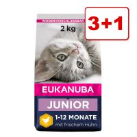 3 + 1 kaupan päälle! 4 x 2 kg Eukanuba-kissanruokaa - Top Condition 7+ Senior