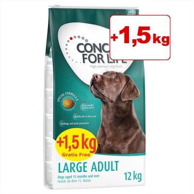 Concept for Life -bonuspakkaus 12 + 1,5 kg - Large Adult