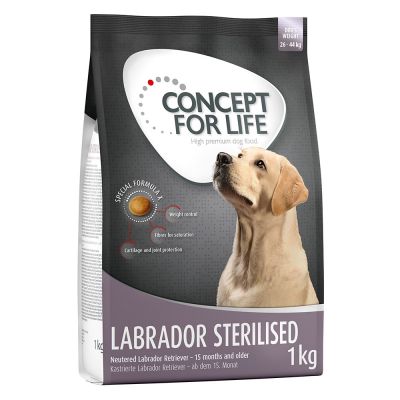 Concept for Life Labrador Sterilised - säästöpakkaus 2 x 12 kg
