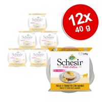 Schesir Petit Delice in Mousse 12 x 40 g - kana, tonnikala ja mustikka