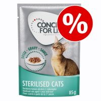 7 € alennusta: Concept for Life -märkäruoka 48 x 85 g - Light Cats in Gravy