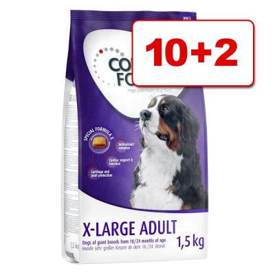 Concept for Life koiranruoka 12 kg: 10 + 2 kg kaupan päälle! - X-Large Junior
