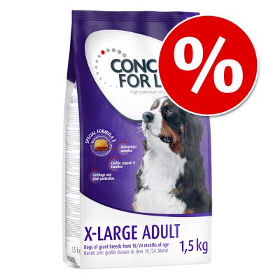 1,5 kg Concept for Life -koiranruokaa kokeiluhintaan! - X-Large Adult