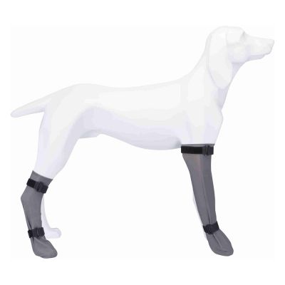 Trixie-suojasukka - koko S: 6 cm leveä, 30 cm pitkä