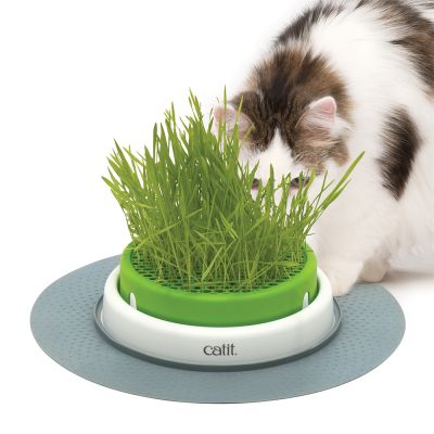 Catit Senses 2.0 -ruohoalusta - Catit Senses 2.0 -ruohoalusta + 3-osainen kissanruohonsiementen setti