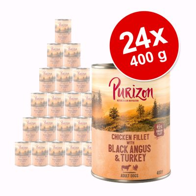 Purizon Adult -säästöpakkaus 24 x 400 g - lohi pinaatilla & kookoksella