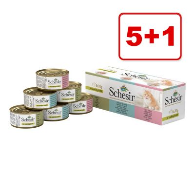 5 + 1 kaupan päälle! 6 x 70 g / 75 g / 85 g Schesir-sekoitus - Fruit-sekoitus (6 x 75 g)