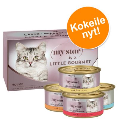 4 x 85 g My Star Mousse Gourmet -kokeilupakkaus - lajitelma (4 makua)