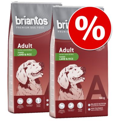 Briantos-säästöpakkaus - Adult Duck & Potato, viljaton (2 x 12 kg)