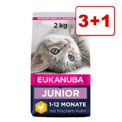3 + 1 kaupan päälle! 4 x 2 kg Eukanuba-kissanruokaa - Healthy Start Kitten