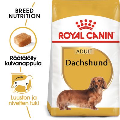 Royal Canin Dachshund Adult - oheen märkäruoka: 24 x 85 g Royal Canin Breed Dachshund