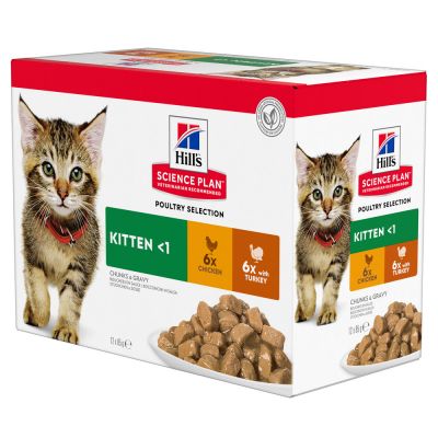 Hill's Science Plan Kitten - 12 x 85 g Ocean Fish