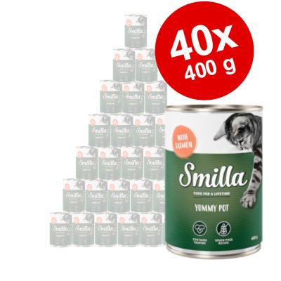 Säästöpakkaus: Smilla-pata 40 x 400 g - kana