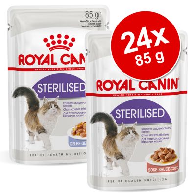 Royal Canin -säästöpakkaus 24 x 85 g: Jelly + Gravy - Ageing 12+ in Gravy + Ageing 12+ in Jelly