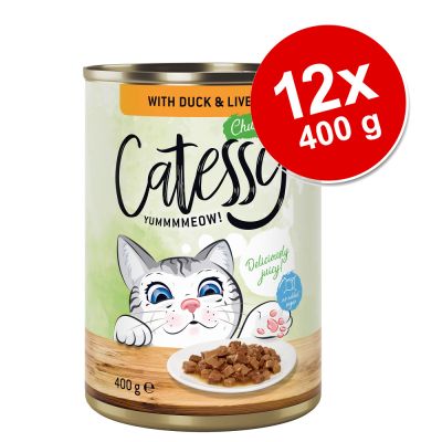 Catessy kastikkeella -säästöpakkaus 12 x 400 g - lohi & taimen