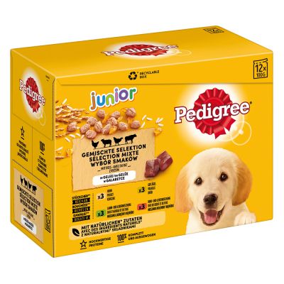 Pedigree Junior Pouch -lajitelma - 12 x 100 g