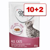 Concept for Life kissanruoka 12 x 85 g: 10 + 2 kaupan päälle! - Kitten - in Gravy