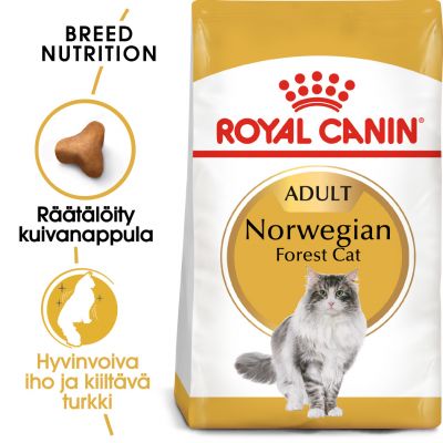 Royal Canin Norwegian Forest Cat Adult - 2 kg