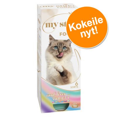 My Star -kokeilupakkaus 10 x 90 g - Champion-mousse - Atlantin lohi