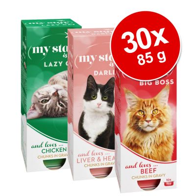 My Star -kastikesekoitus - 30 x 85 g - mix II (Atlantin lohi, kana, maksa & sydän)