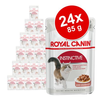 Royal Canin -säästöpakkaus 24 x 85 g - Ageing 12+ in Jelly