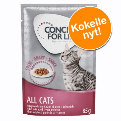 Concept for Life kissanruoka 12 x 85 g kokeiluhintaan! - Sensitive Cats - in Gravy