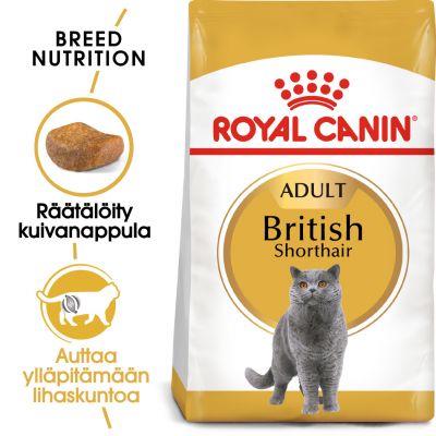 Royal Canin British Shorthair Adult - 10 kg