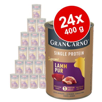Animonda GranCarno Adult Single Protein Supreme -säästöpakkaus 24 x 400 g - hevonen