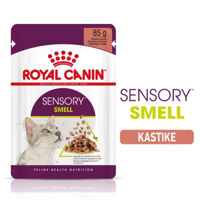 Royal Canin Sensory Smell in Gravy - 12 x 85 g
