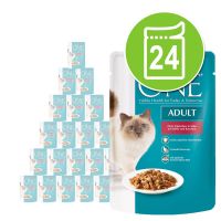 Purina One märkäruoat 24 x 85 g - Adult, nauta & porkkana