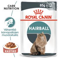 Royal Canin Hairball Care in Gravy - 24 x 85 g