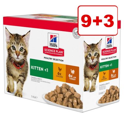 Hill's Science Plan -märkäruoka 9 + 3 kaupan päälle! - 12 x 85 Kitten siipikarjalajitelma