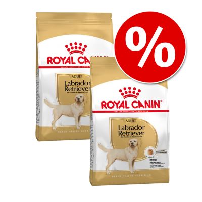 Royal Canin Breed 2 x suurpakkaus erikoishintaan! - 2 x 11 kg German Shepherd Adult