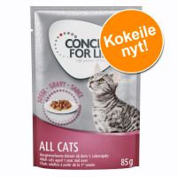 Concept for Life kissanruoka 12 x 85 g kokeiluhintaan! - Maine Coon