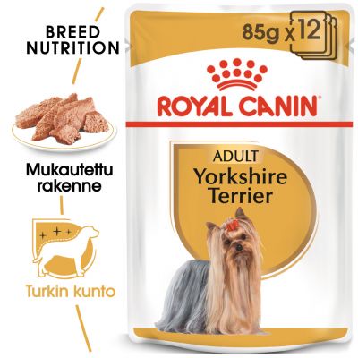 Royal Canin Breed Yorkshire Terrier - 24 x 85 g