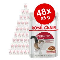 Royal Canin -säästöpakkaus 48 x 85 g - Intense Beauty in Gravy