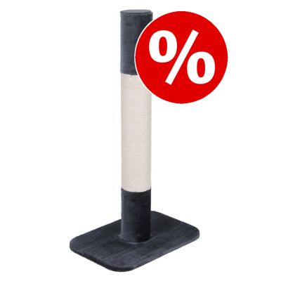 XXL Jumbo -raapimispuu erikoishintaan! - K 107 x P 58 x L 40 cm