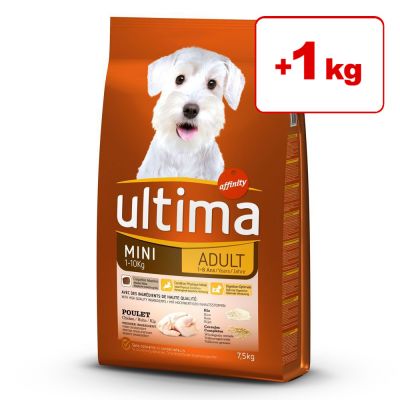 6,5 / 9,5 / 15,5 kg Ultima-koiranruokaa + 1 / 2,5 kg kaupan päälle! - Mini Adult Chicken (6,5 kg + 1 kg kaupan päälle!)