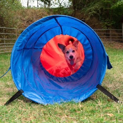 Agility Fun & Sport -pussieste - Ø 60 cm, pituus 5 m