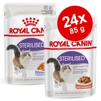 Royal Canin -säästöpakkaus 24 x 85 g: Jelly + Gravy - Instinctive in Gravy + Instinctive in Jelly