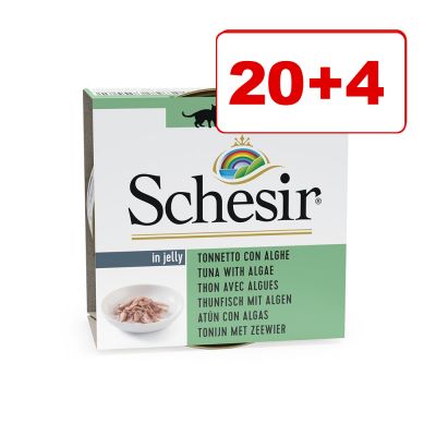 20 + 4 kaupan päälle! 24 x 85 g Schesir in Jelly - tonnikala