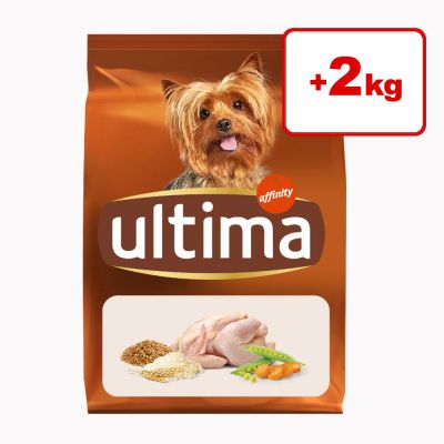 Ultima Yorkshire Terrier Adult Chicken: 4,4 kg + 2 kg kaupan päälle! 8 x 800 g