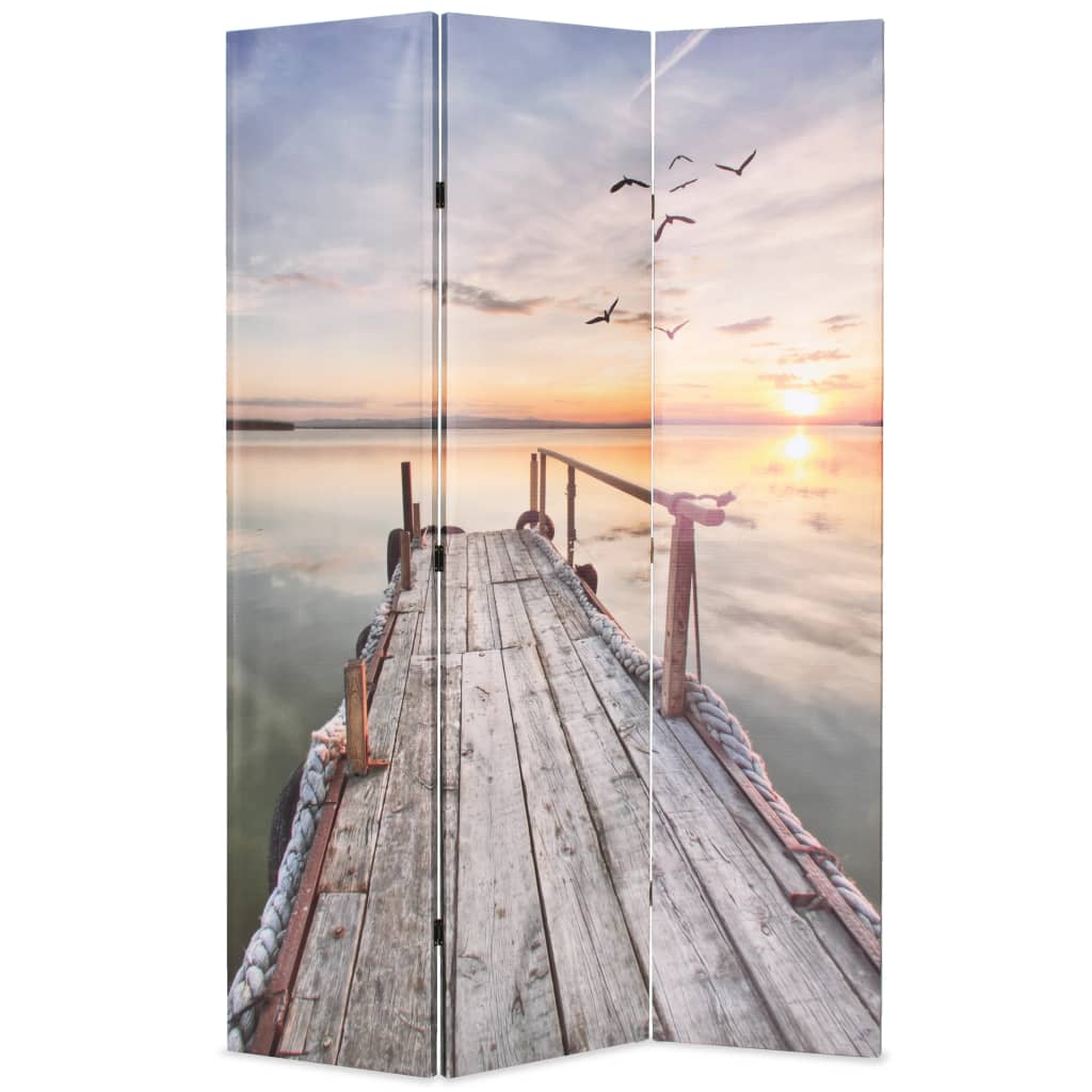 vidaXL Taitettava tilanjakaja 120x170 cm järvi