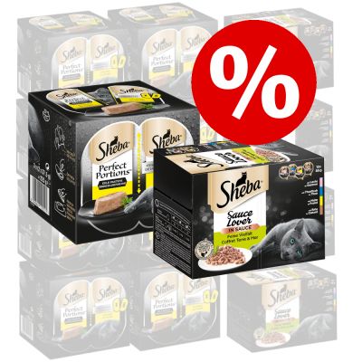 48 x 85 g Sheba-rasiat + 48 x 37,5 g Perfect Portions -kanaruokaa erikoishintaan! - Sauce Speciale