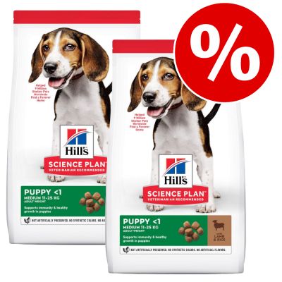 Hill's Science Plan -säästöpakkaus: 2 x suuri pakkaus - 2 x 14 kg Adult Large Breed Lamb & Rice