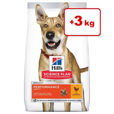 11 + 3 kg kaupan päälle! 14 kg Hill's Science Plan -koiranruoka - Adult 1+ Performance Chicken
